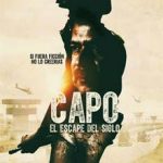 Ver Capo: El escape del siglo (2016)