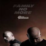 Ver Fast & Furious 8 (Rápidos y Furiosos 8) (2017)