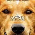 Ver A Dog’s Purpose (La razón de estar contigo) (2017)