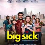 Ver The Big Sick (2017)