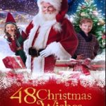 Ver 48 Deseos de Navidad (2017)
