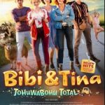 Ver Bibi & Tina: Tohuwabohu total (2017) online