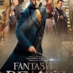 Ver Animales Fantásticos y Dónde Encontrarlos (2016) Online