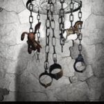 Ver Matriarch (2018) Online