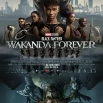 Ver Pantera Negra: Wakanda por siempre 2022 Online