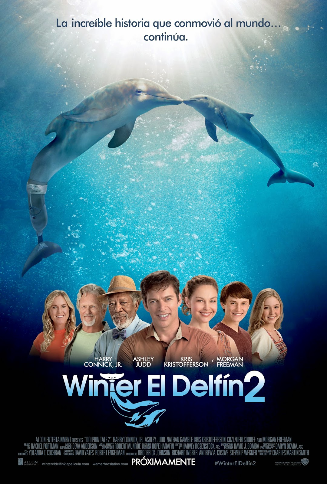 Ver Winter el delfín 2 (2014)