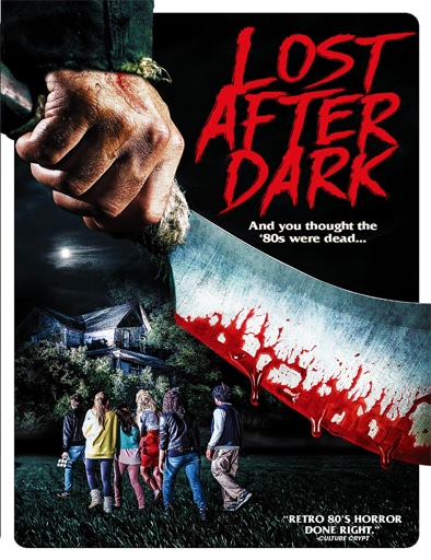 Ver Lost After Dark (2014)