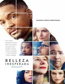 Ver Collateral Beauty  (2016)