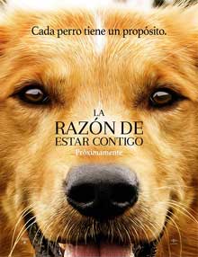 Ver A Dog’s Purpose (La razón de estar contigo) (2017)