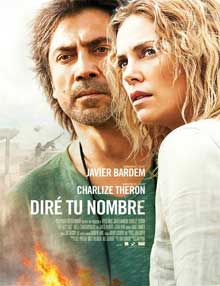 Ver The Last Face (Diré tu nombre)