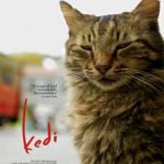 Ver Kedi (Gatos de Estambul) (2016) online