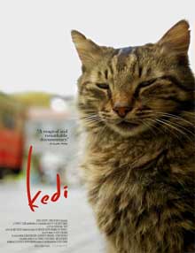 Ver Kedi (Gatos de Estambul)