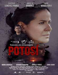 Ver Potosí (2013) online