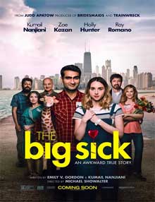 Ver The Big Sick (2017)