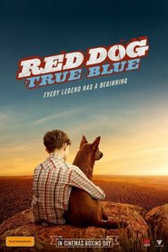 Ver Siempre Estarás Conmigo (Red Dog: True Blue) (2016)