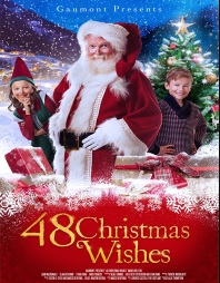 Ver 48 Deseos de Navidad (2017) online