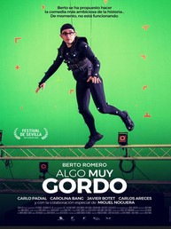 Ver Algo muy gordo (2017) Online