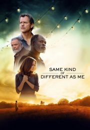 Ver Same Kind of Different as Me (2017) Online