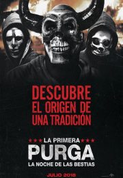 Ver 12 Horas para Sobrevivir: El Inicio (2018) online