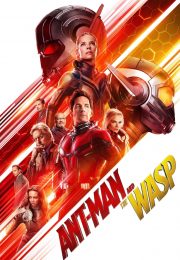 Ver Ant-Man and the Wasp (2018) Online