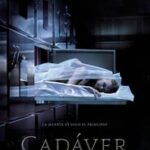 Ver Cadaver (2018)