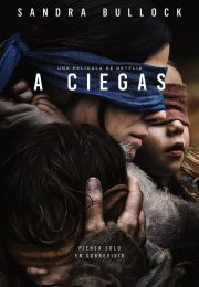 Ver A ciegas