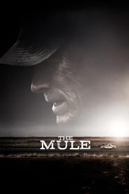 Ver Mula (2018) Online