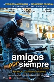 Amigos por siempre