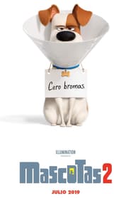 Ver Mascotas 2 (The Secret Life of Pets 2) (2019) Online