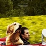 Ver El arte de vivir bajo la lluvia (2019) Online