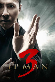 Ver Ip Man 3