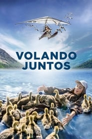 Ver Donne-moi des ailes ( Volando juntos ) 2019 Online