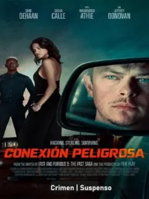 Ver Conexión peligrosa (2026) Online